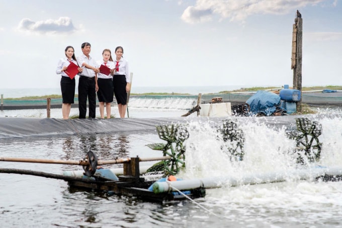 Mô hình nông nghiệp tuần hoàn có sự dẫn vốn từ Agribank. Ảnh: Agribank