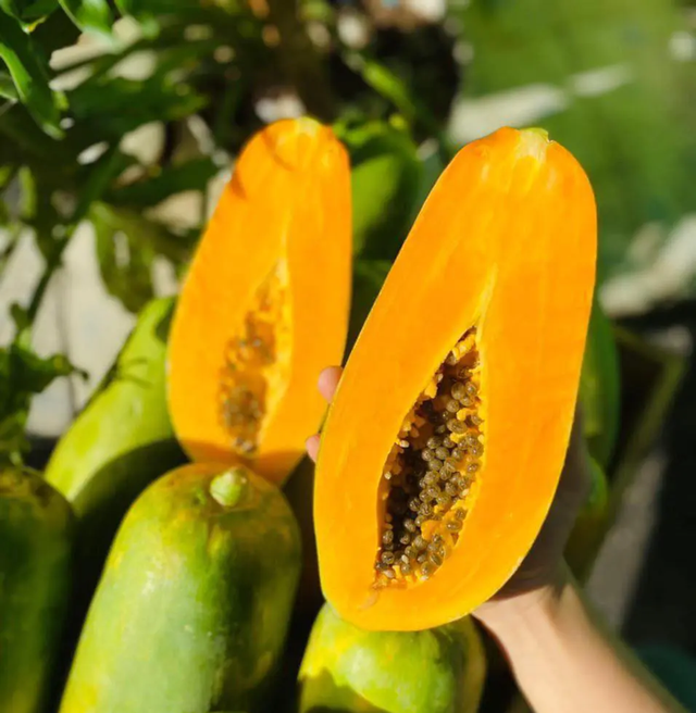 Loại quả "tốt nhất thế giới", ở Việt Nam hễ ra chợ là thấy - Ảnh 3.