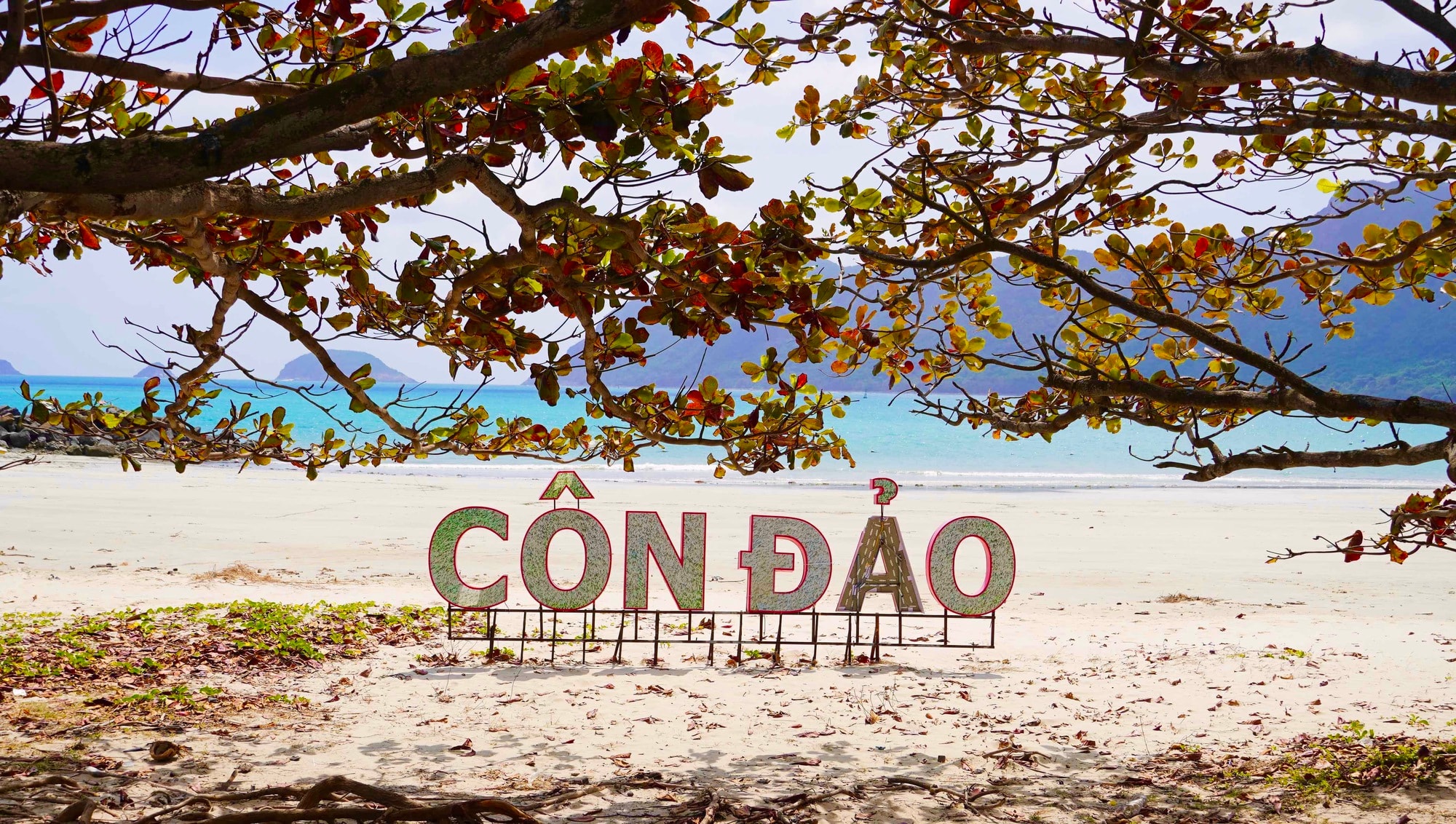 Côn Đảo bước vào "mùa đẹp nhất năm" - Ảnh 1.