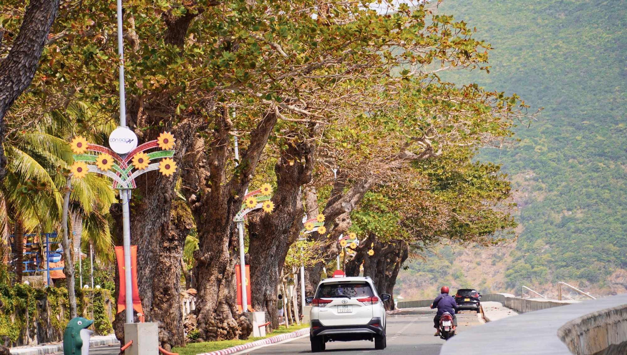 Côn Đảo bước vào "mùa đẹp nhất năm" - Ảnh 7.