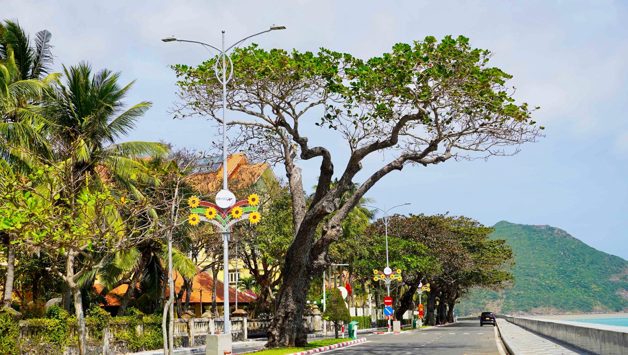 Côn Đảo bước vào "mùa đẹp nhất năm" - Ảnh 10.