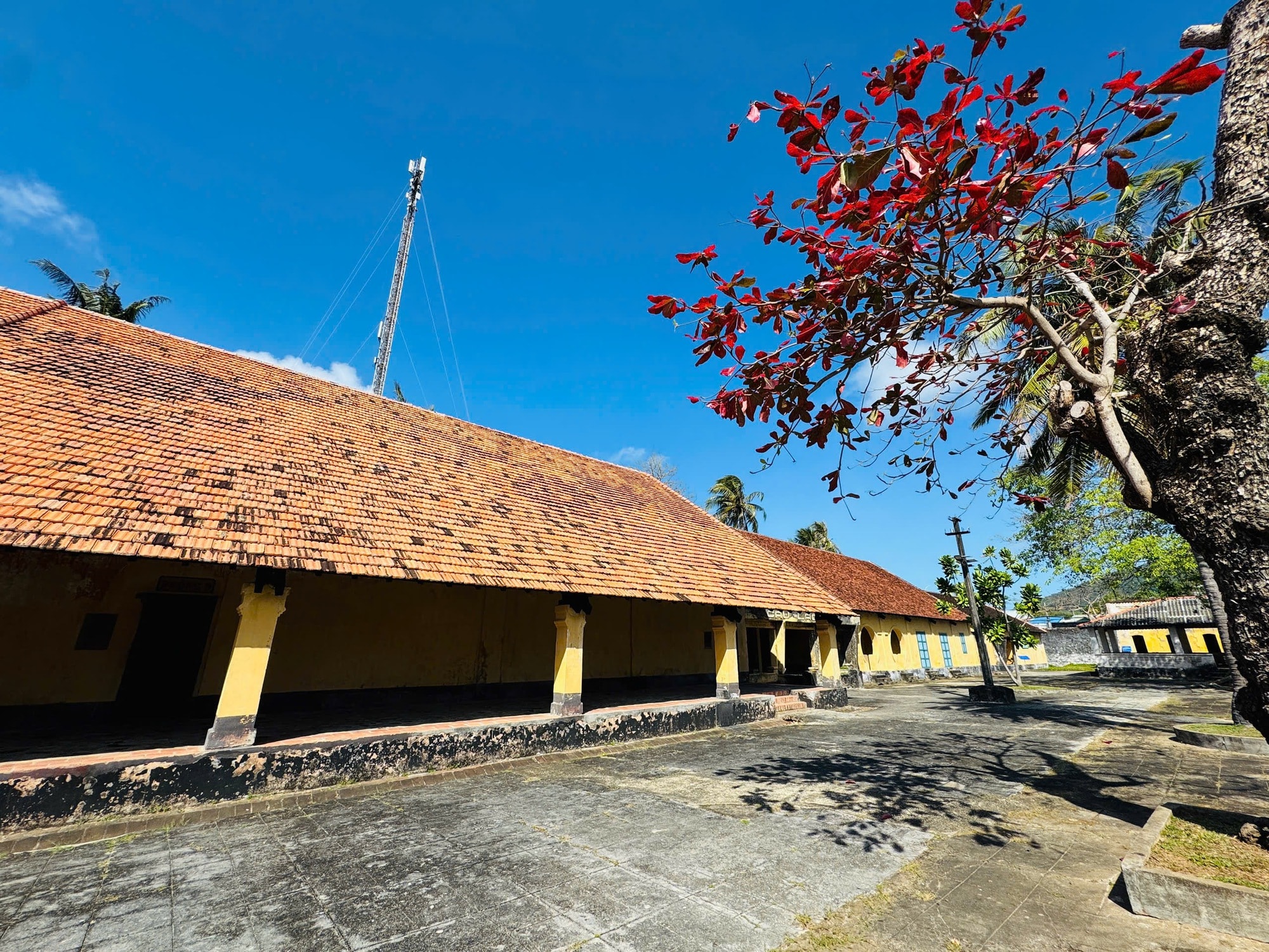 Côn Đảo bước vào "mùa đẹp nhất năm" - Ảnh 5.