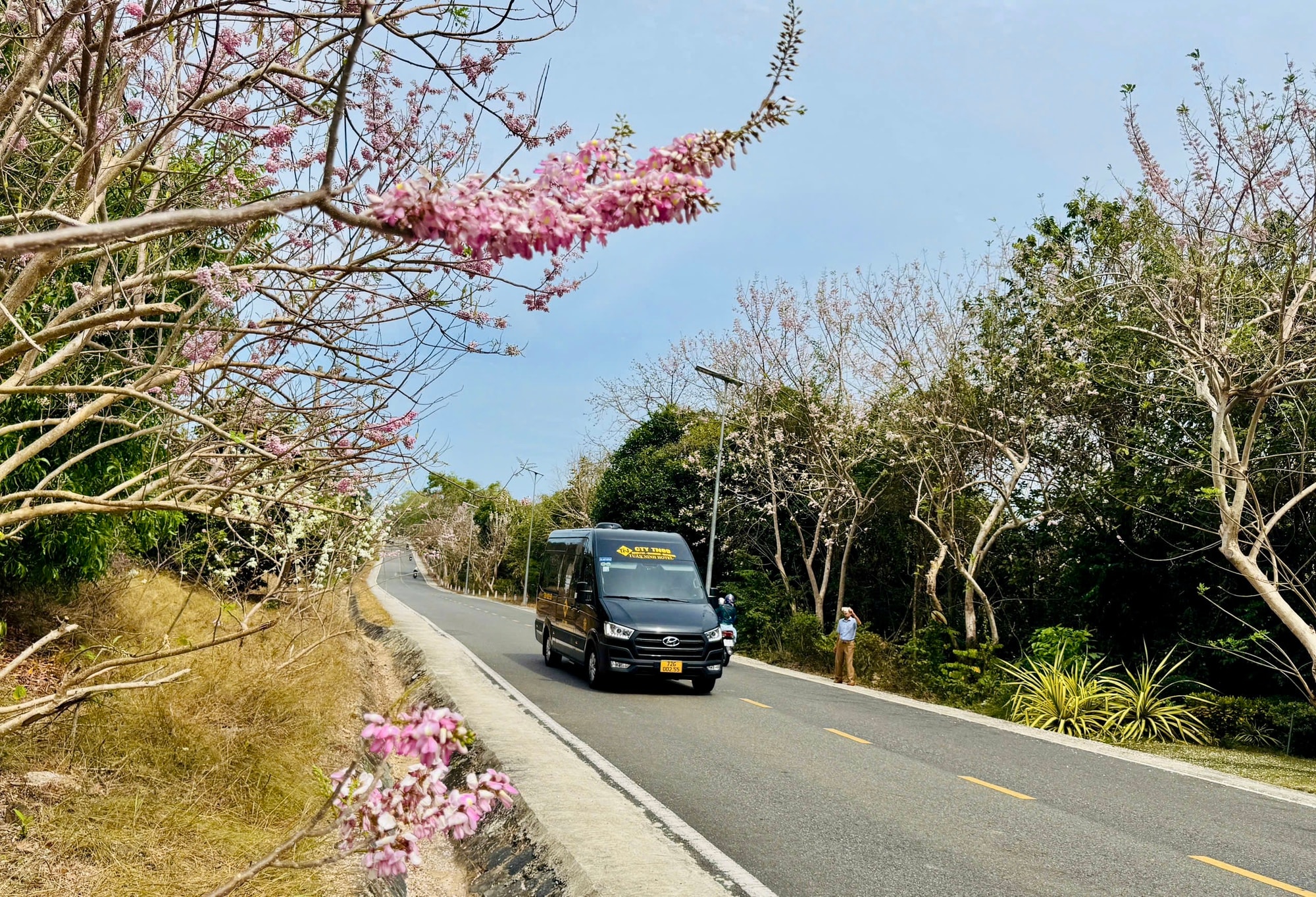 Côn Đảo bước vào "mùa đẹp nhất năm" - Ảnh 8.