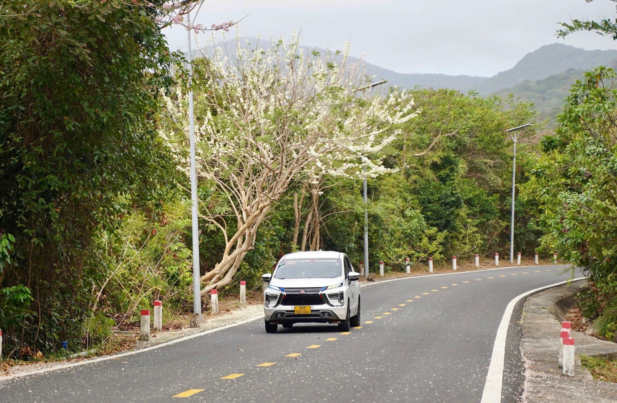 Côn Đảo bước vào "mùa đẹp nhất năm" - Ảnh 9.
