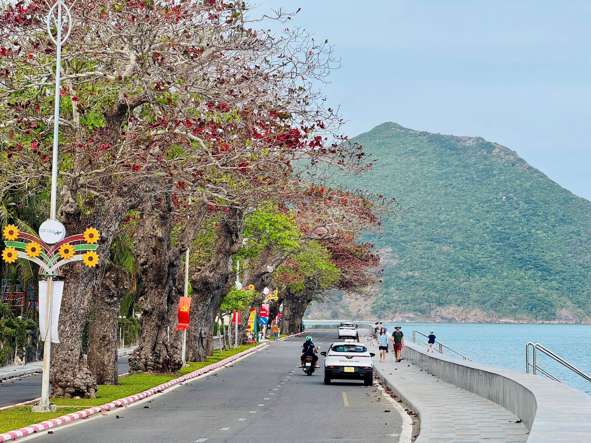 Côn Đảo bước vào "mùa đẹp nhất năm" - Ảnh 2.