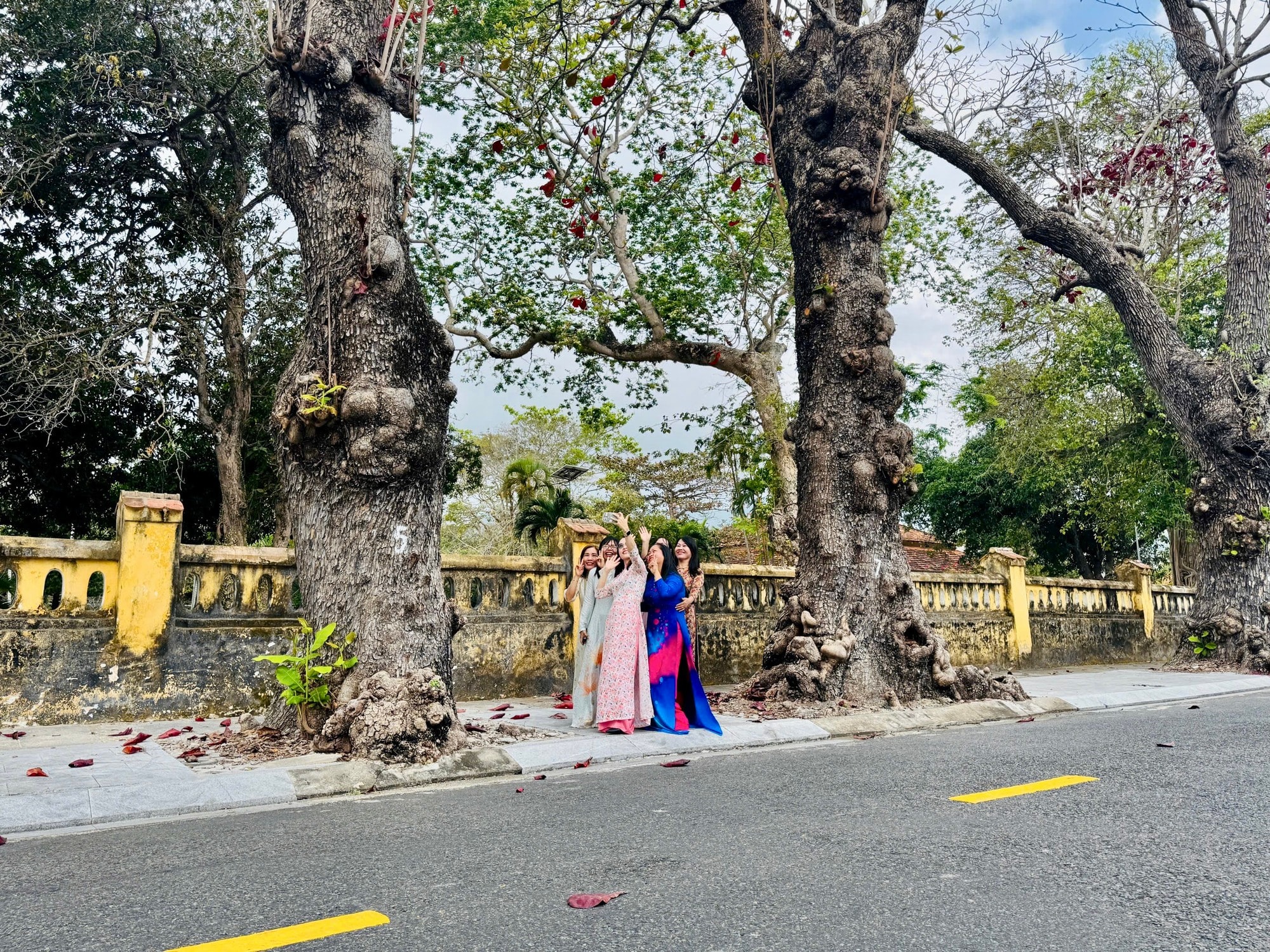 Côn Đảo bước vào "mùa đẹp nhất năm" - Ảnh 6.