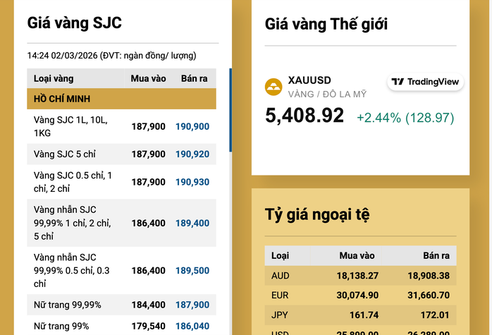 Giá vàng vượt 190 triệu đồng / lượng: Tình hình kinh tế 2026 có gì đáng chú ý? - Ảnh 3.
