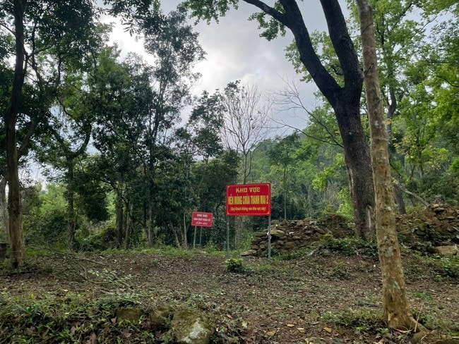 Hải Phòng đẩy mạnh kết nối di sản, thương mại và du lịch tại Lễ hội mùa Xuân Côn Sơn - Kiếp Bạc 2026- Ảnh 5.