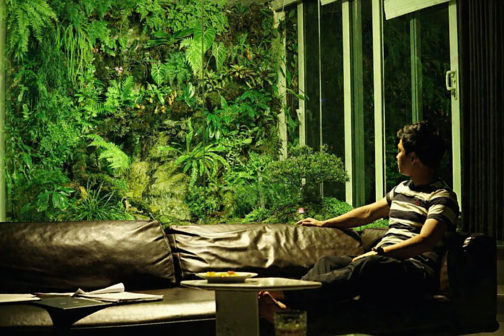 Người chế những khu rừng nguyên sinh tiền tỷ trong thành phố  - 1