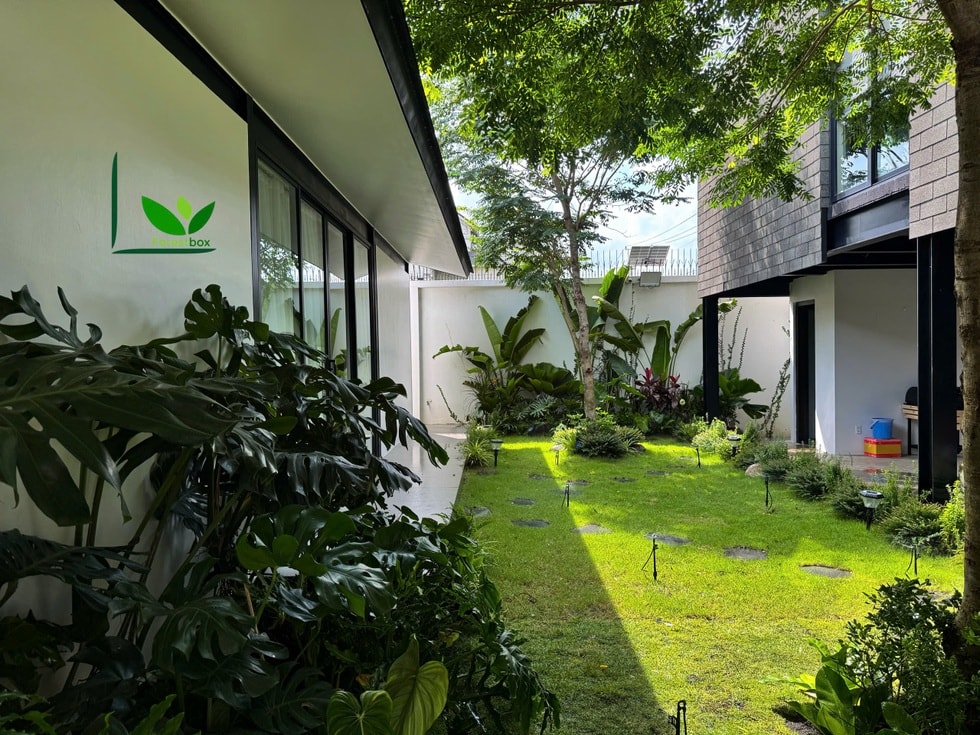 Người chế những khu rừng nguyên sinh tiền tỷ trong thành phố  - 3