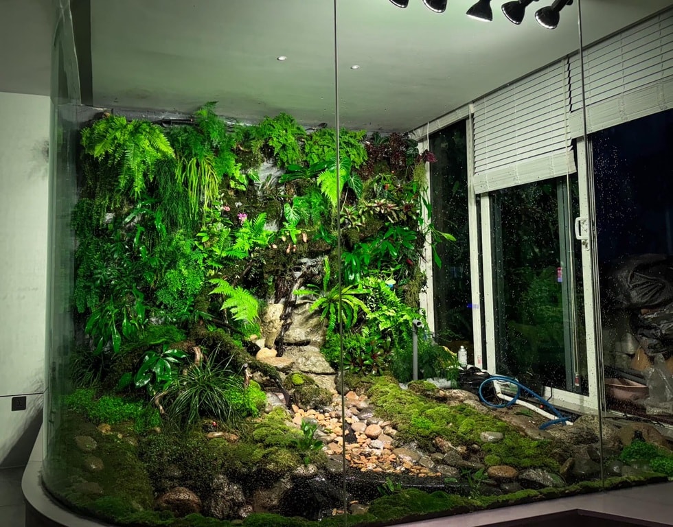 Người chế những khu rừng nguyên sinh tiền tỷ trong thành phố  - 7