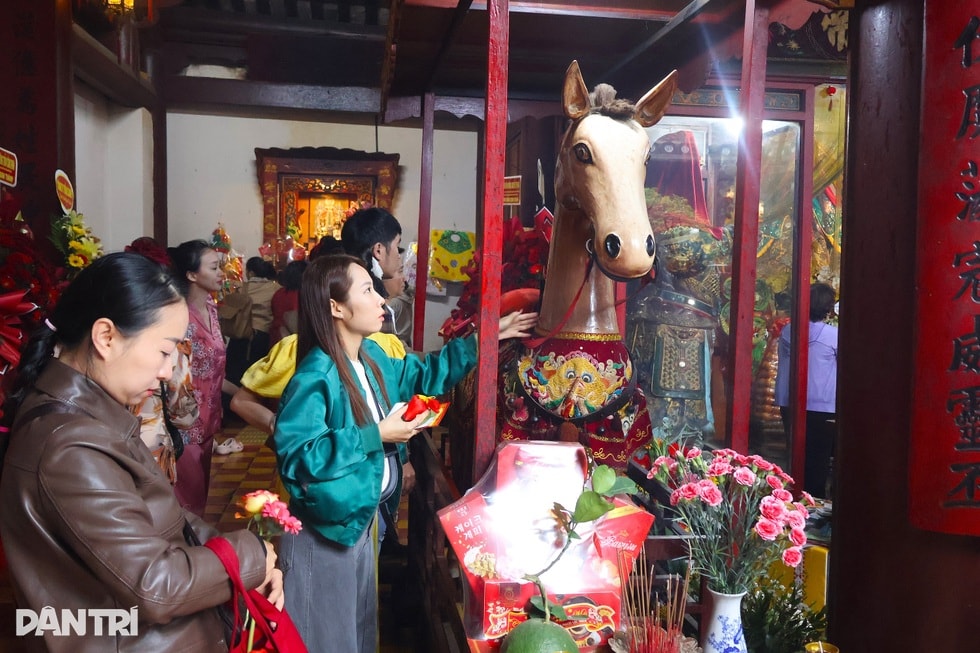 Người dân xếp hàng hơn nửa cây số để “vuốt” ngựa Xích Thố cầu may - 5