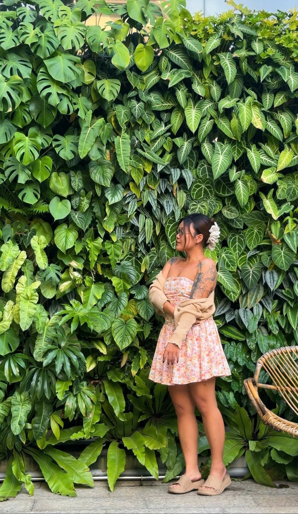 Người chế những khu rừng nguyên sinh tiền tỷ trong thành phố  - 9