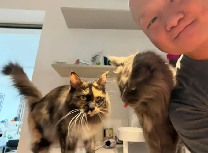 Huan Cong cùng hai trong số rất nhiều chú mèo mà anh đã chăm sóc trong suốt kỳ nghỉ. Ảnh: Baidu