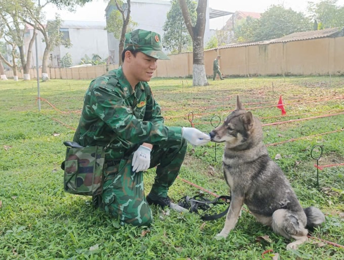 Thiếu tá Thọ và chú chó lài bản sông Mã tên Tôm - một trong 5 chú chó bản địa được nhà trường tiếp nhận từ Trung tâm Nhiệt đới Việt- Nga để đưa vào huấn luyện tìm kiếm bom mìn. Ảnh: Phong Linh