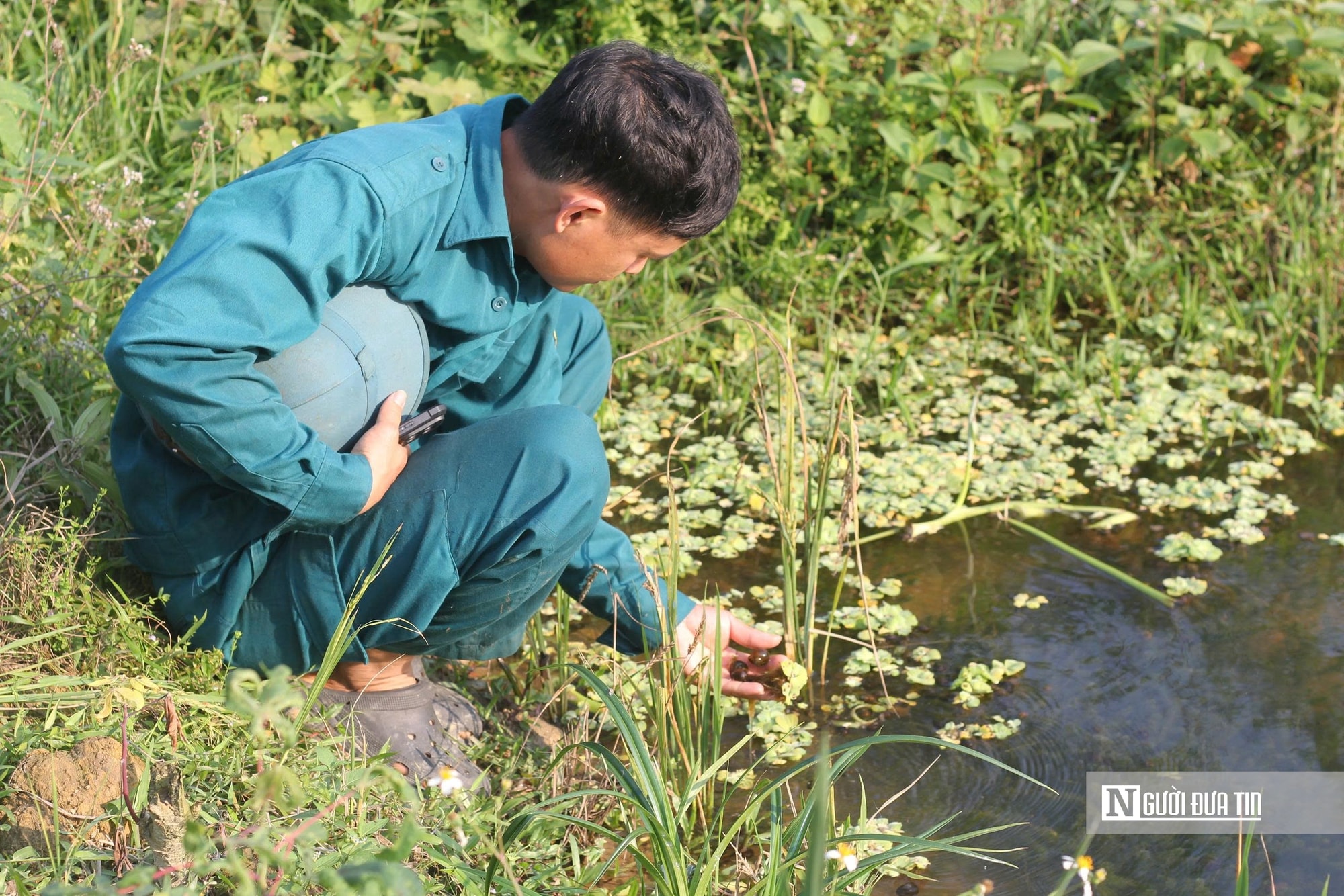 Hà Tĩnh: Nuôi con “vàng đen”, người nông dân nhẹ nhàng nhặt lên kiếm tiền triệu - Ảnh 2.