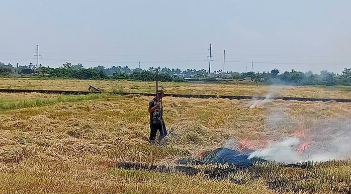 Ngăn chặn đốt rơm rạ trên đồng - Ảnh 1.