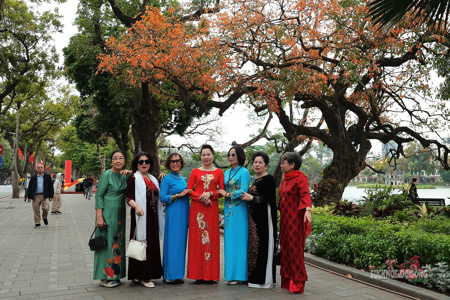 Tháng Ba, ngắm Hà Nội mùa cây thay lá- Ảnh 2.