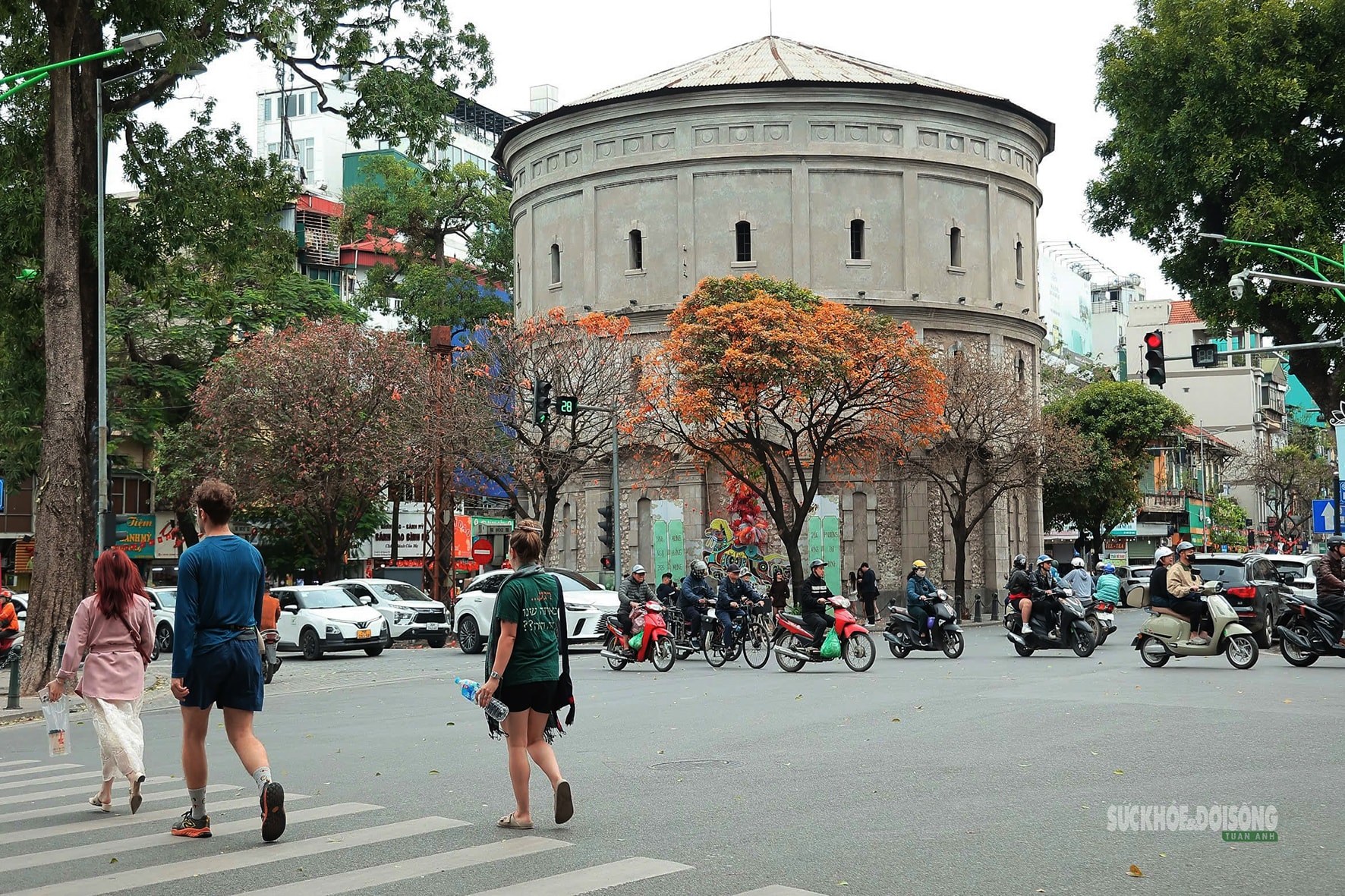 Tháng Ba, ngắm Hà Nội mùa cây thay lá- Ảnh 4.