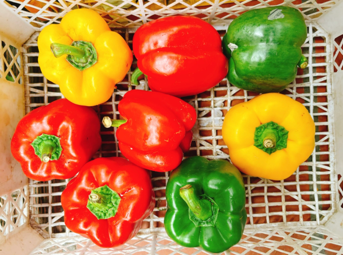 Ớt chuông ít kali, natri, giàu vitamin A, C, B6 và axit folic (B9) hỗ trợ chức năng thận. Ảnh: Bảo Bảo