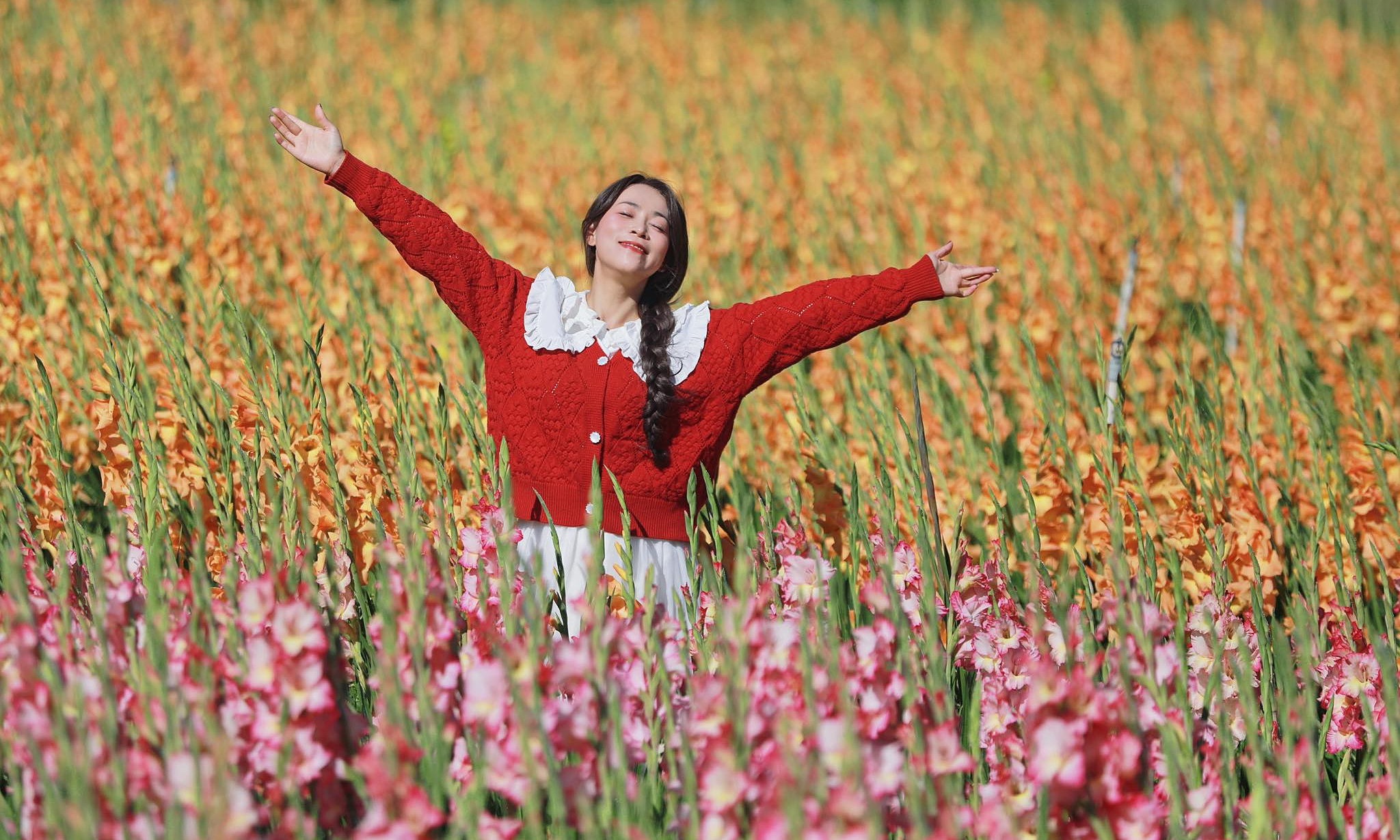 Vườn lay ơn Đà Lạt nở muộn vẫn hút khách nhờ mạng xã hội