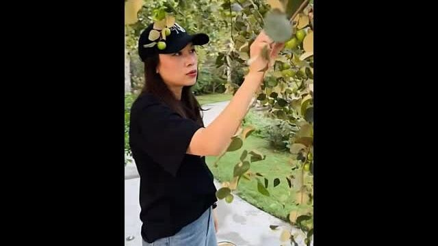 Vườn nhà của Mỹ Tâm ở Củ Chi