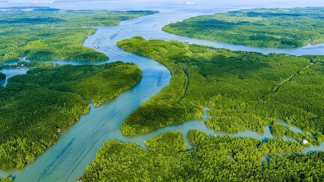 Tour trực thăng TPHCM chính thức đón khách , trải nghiệm ngắm thành phố từ trên cao - Ảnh 4.