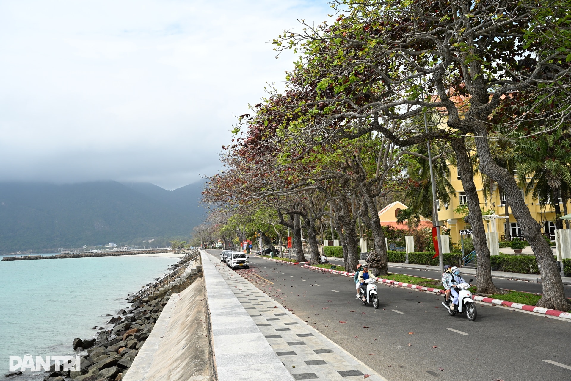 Côn Đảo đẹp ngỡ ngàng trong mùa bàng thay lá - 2