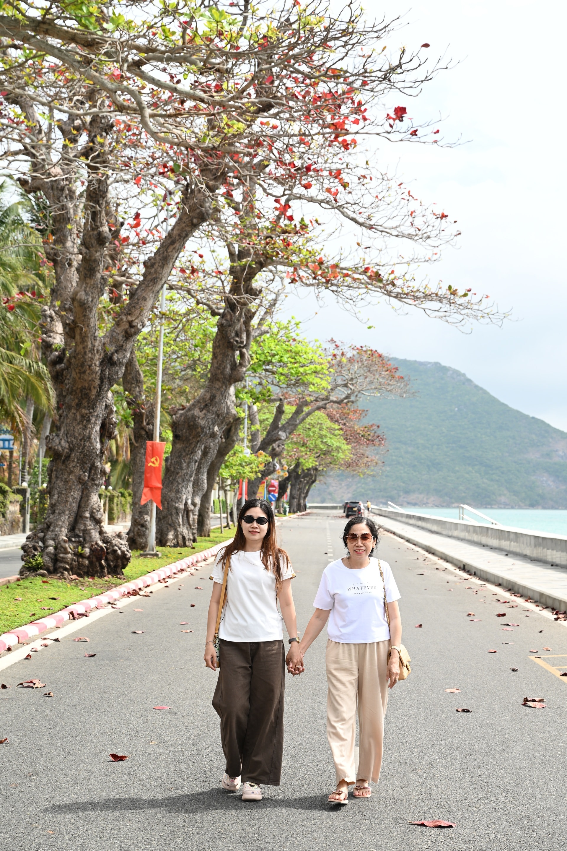 Côn Đảo đẹp ngỡ ngàng trong mùa bàng thay lá - 10