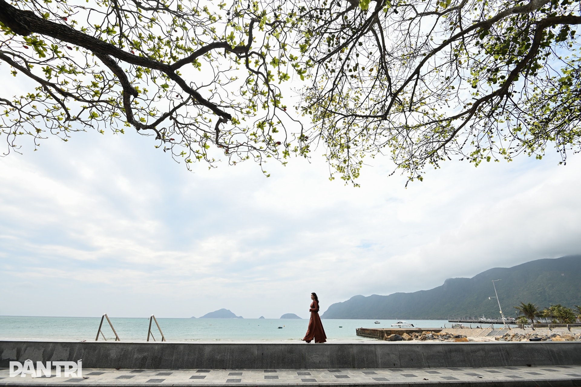 Côn Đảo đẹp ngỡ ngàng trong mùa bàng thay lá - 1