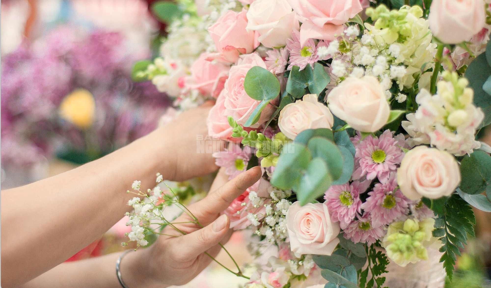 - Ảnh 2. - Ảnh 2.