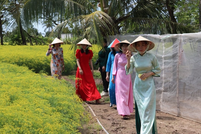 VIDEO: Du khách đổ xô ngắm những cánh đồng hoa “lạ” ở Cà Mau - Ảnh 11.