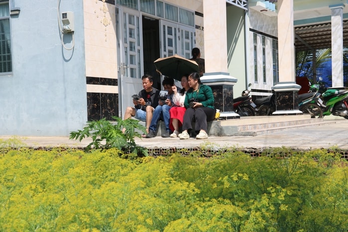 VIDEO: Du khách đổ xô ngắm những cánh đồng hoa “lạ” ở Cà Mau - Ảnh 12.