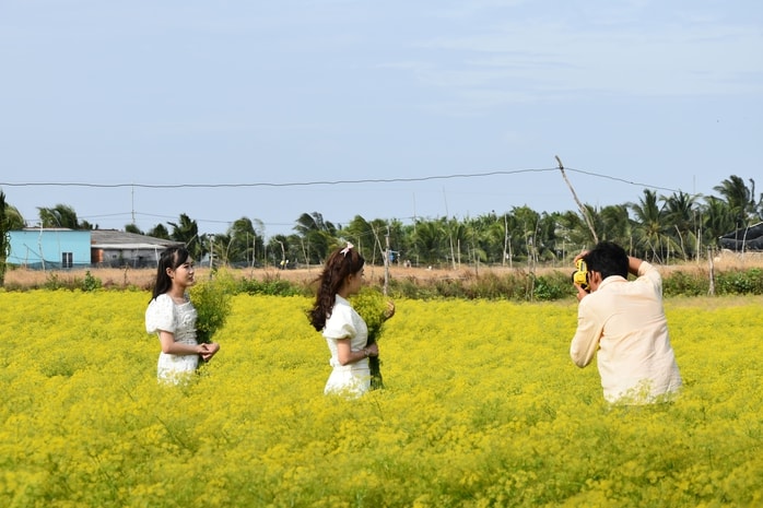 VIDEO: Du khách đổ xô ngắm những cánh đồng hoa “lạ” ở Cà Mau - Ảnh 13.