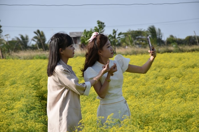 VIDEO: Du khách đổ xô ngắm những cánh đồng hoa “lạ” ở Cà Mau - Ảnh 14.