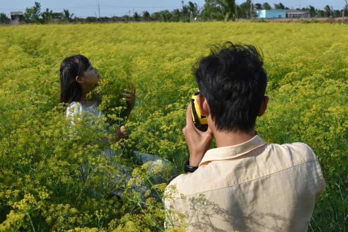 VIDEO: Du khách đổ xô ngắm những cánh đồng hoa “lạ” ở Cà Mau - Ảnh 16.