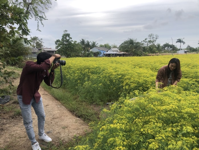 VIDEO: Du khách đổ xô ngắm những cánh đồng hoa “lạ” ở Cà Mau - Ảnh 17.