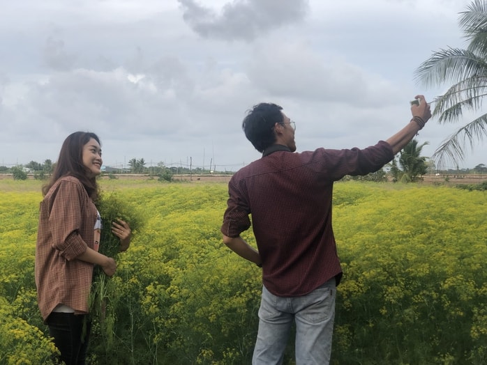 VIDEO: Du khách đổ xô ngắm những cánh đồng hoa “lạ” ở Cà Mau - Ảnh 18.