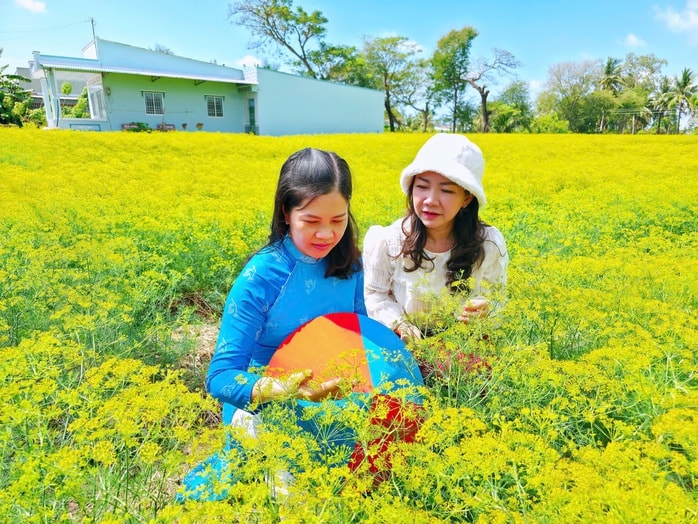 VIDEO: Du khách đổ xô ngắm những cánh đồng hoa “lạ” ở Cà Mau - Ảnh 6.