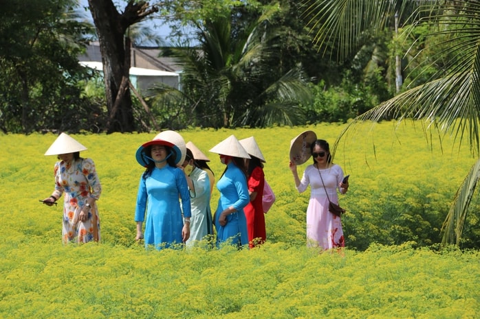 VIDEO: Du khách đổ xô ngắm những cánh đồng hoa “lạ” ở Cà Mau - Ảnh 8.