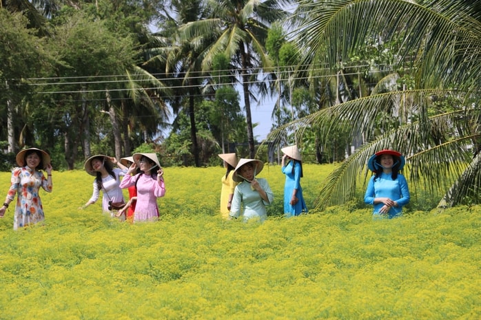 VIDEO: Du khách đổ xô ngắm những cánh đồng hoa “lạ” ở Cà Mau - Ảnh 9.