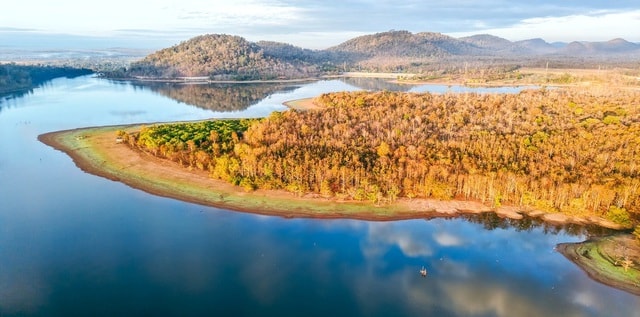 Đẹp ngỡ ngàng rừng khộp mùa thay lá- Ảnh 2.