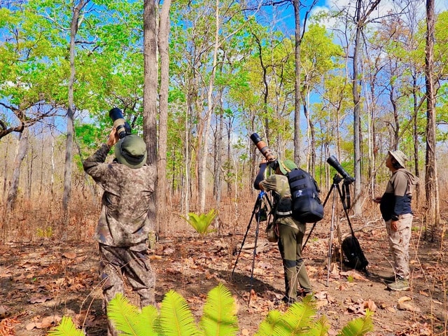 Đẹp ngỡ ngàng rừng khộp mùa thay lá- Ảnh 6.