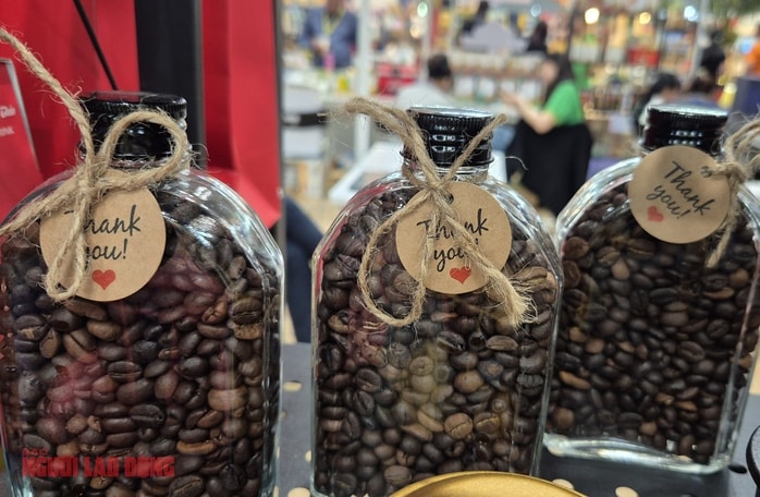 Giá cà phê hôm nay 8 - 3: Cập nhật giá sàn và thị trường nội địa - Ảnh 1.