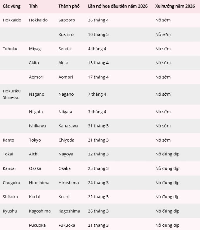 Lịch nở hoa chi tiết của một số tỉnh thành ở Nhật Bản năm 2026. Nguồn: JNTO
