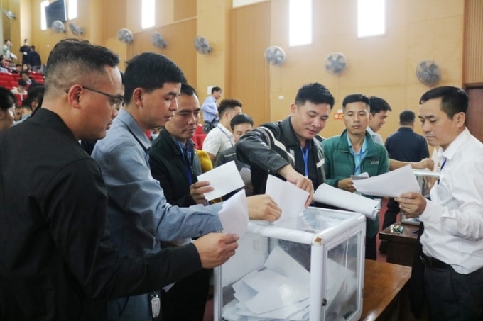 Loạt khách hàng tham gia bỏ phiếu đấu giá đất tại xã Quốc Oai ngày 7/3. Ảnh: Cổng thông tin xã Quốc Oai