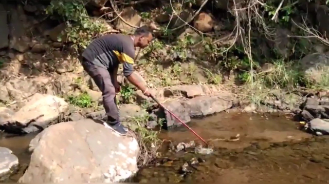 Nhìn xuống gầm xe, người đàn ông bủn rủn chân tay phát hiện cảnh tượng "nổi da gà"- Ảnh 2.