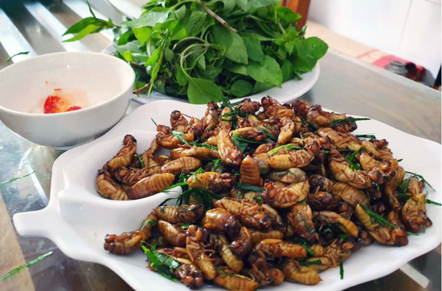 Con “re re” xưa không ai ngó, nay thành đặc sản Tây Bắc, dân nhậu săn lùng giá tiền triệu - Ảnh 2.