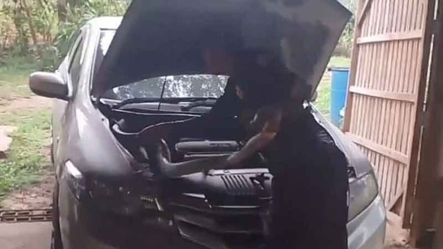 Bắt sống rắn hổ mang chúa dài 3 mét ẩn nấp trong xe ô tô - Ảnh 1.