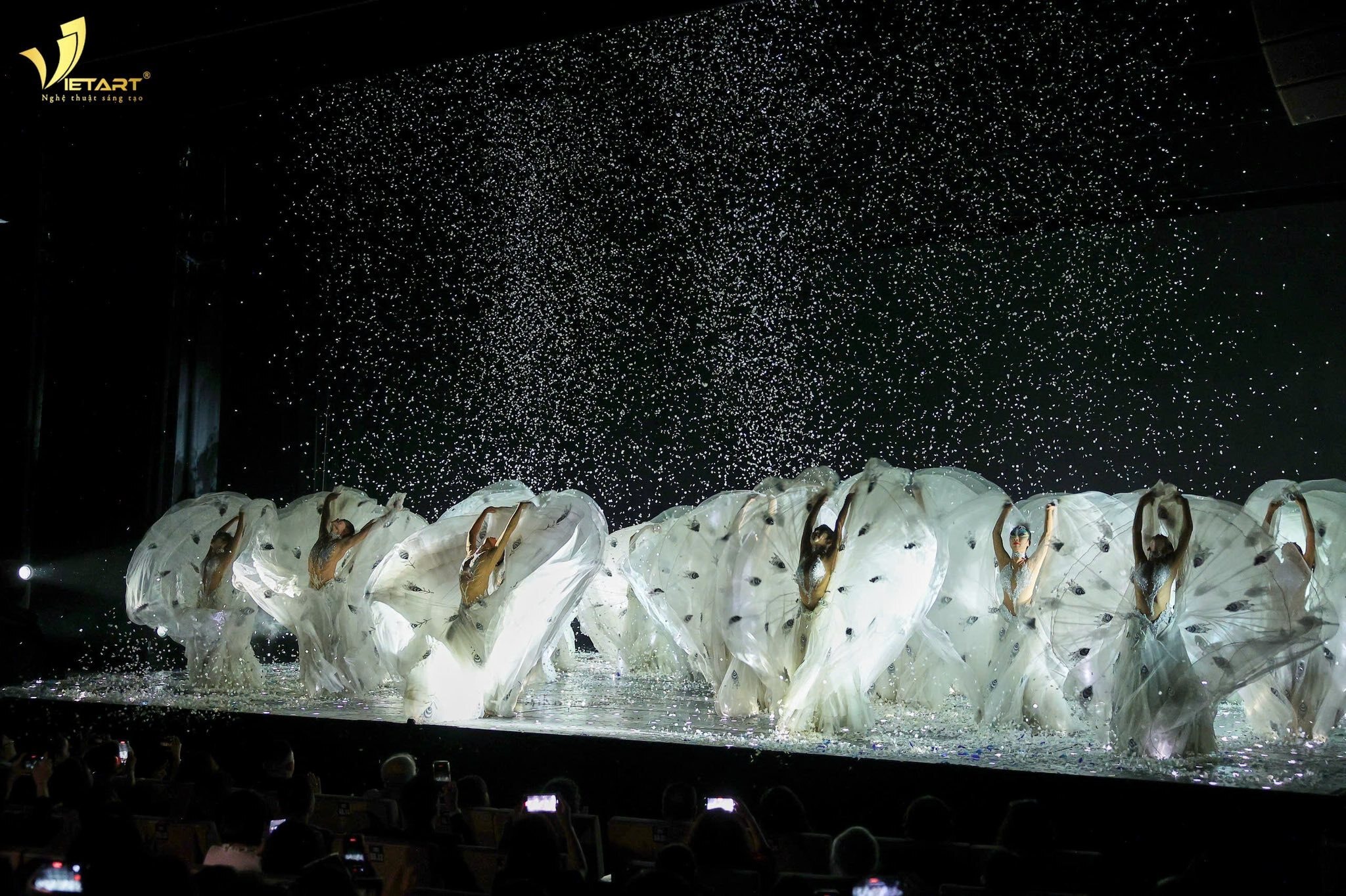 Không chỉ chinh phục khán giả bằng kỹ thuật múa điêu luyện, vở diễn còn gây ấn tượng với phần mỹ thuật sân khấu tinh tế. Ánh sáng, âm nhạc và trang phục được thiết kế như những lớp màu của thiên nhiên, làm nổi bật vẻ đẹp mong manh mà kiêu hãnh của hình tượng chim công.